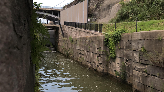 The program will also be available for streaming online.